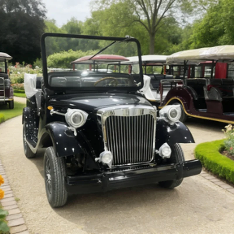 8/11/14 Seater Vintage Electric Car Travel Vintage Sightseeing Car For Wedding Chair Brown Leather Dedicated To Attractions