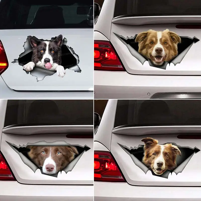 Border Collie Pet Dog Car Sticker Waterproof Vinyl Decal on Bumper Rear Window Laptop Self-adhesive Decal Car Accessories SH125