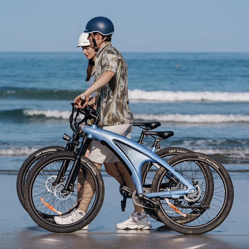 

Long Range Mountain E-bike Bicicleta Plegable Electrica Step Through Electric Bike Electric Cross Bike Electric Delivery Bike