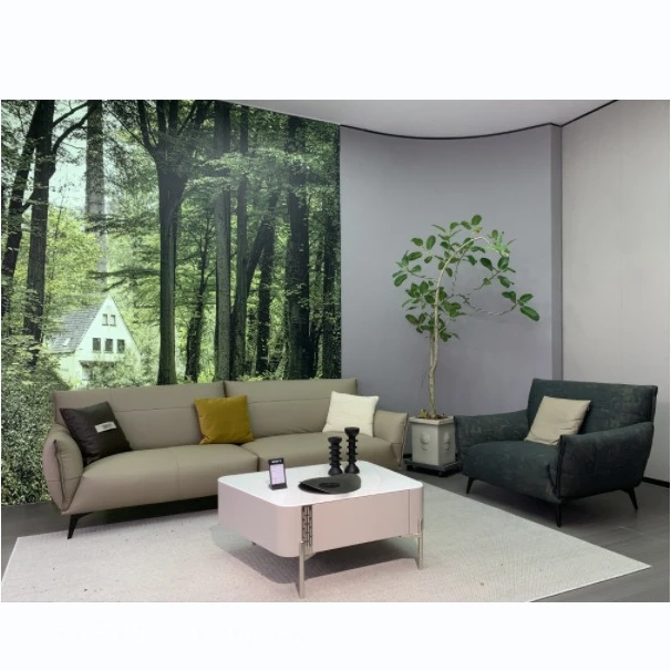 Simple living room home technology fabric combination sofa small apartment fabric sofa