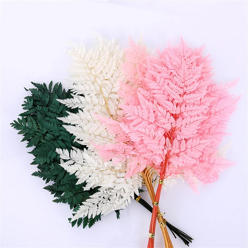 10pcs Natural Preserved Fern Leaf Floral Fresh Dried Flowers DIY Material Photography Prop Home Indoor Decor Boho Wedding Decor