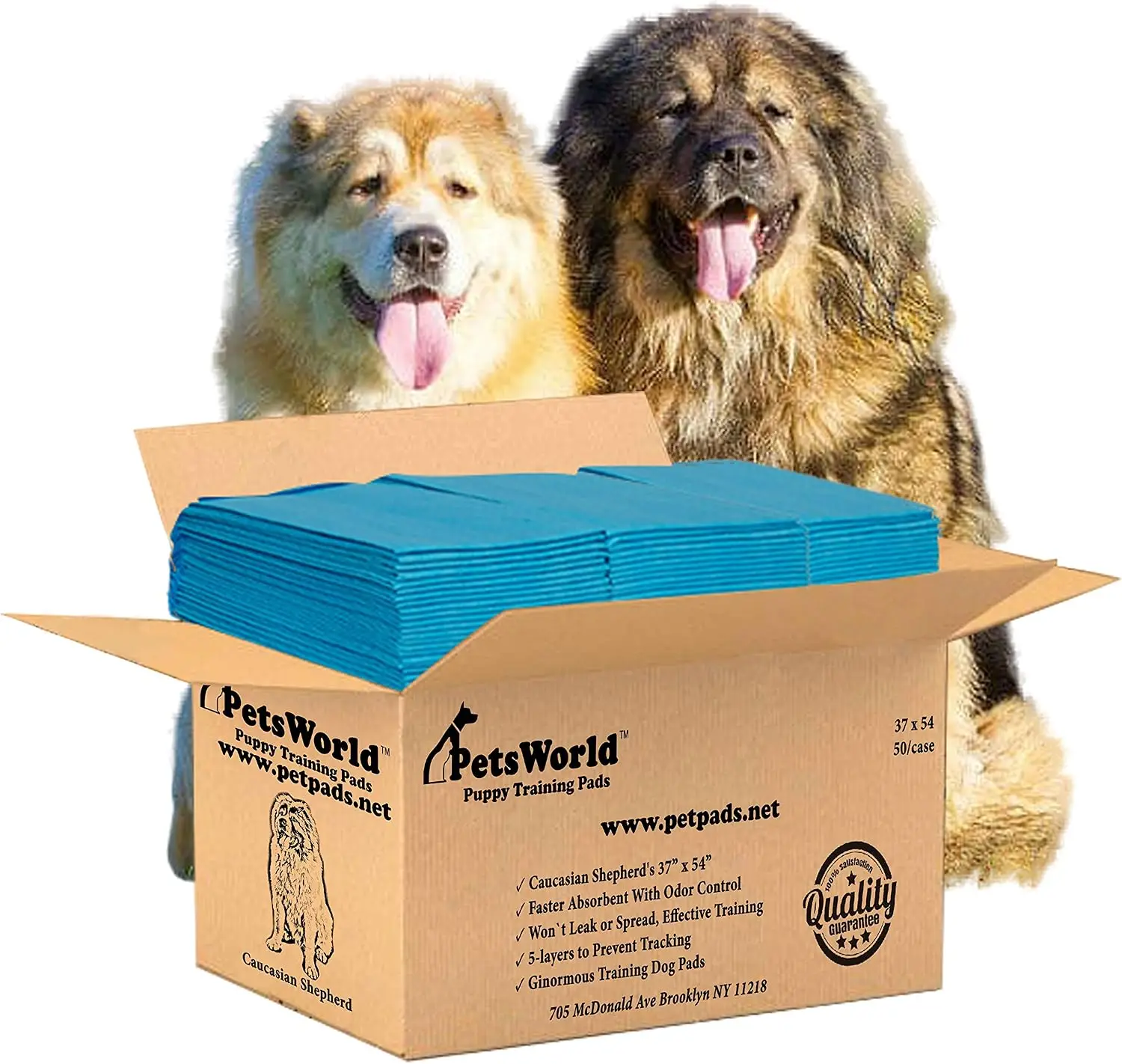 Enormous Dog Pee Pads 37