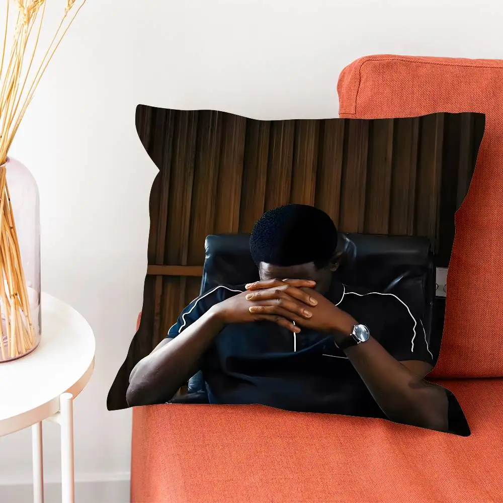 Funda de almohada Snowfall, funda de almohada para sala de estar, funda de cojín para sofá, adecuada para decoración del hogar, dormitorio y habitación