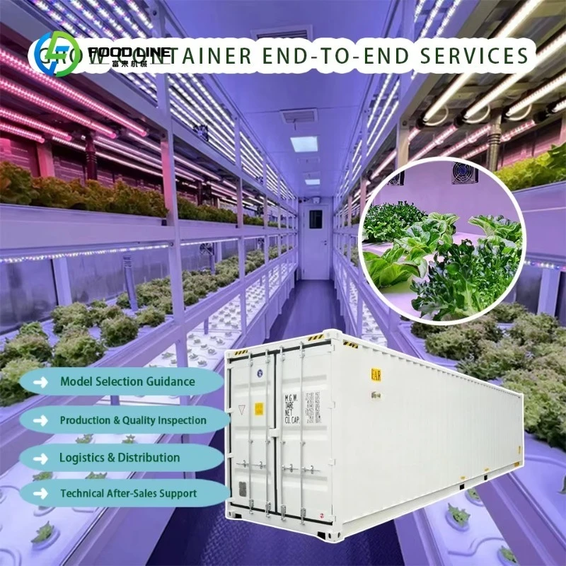 Customized Farm Growing Fully Equipped Mushroom Cultivation Container Hydroponics System Vertical Plant Factory Complete Set