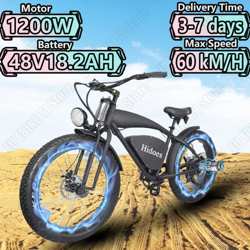 HDOES HD-B3 Electric Bicycle: Is the HD.E Model Really Worth Your Investment?