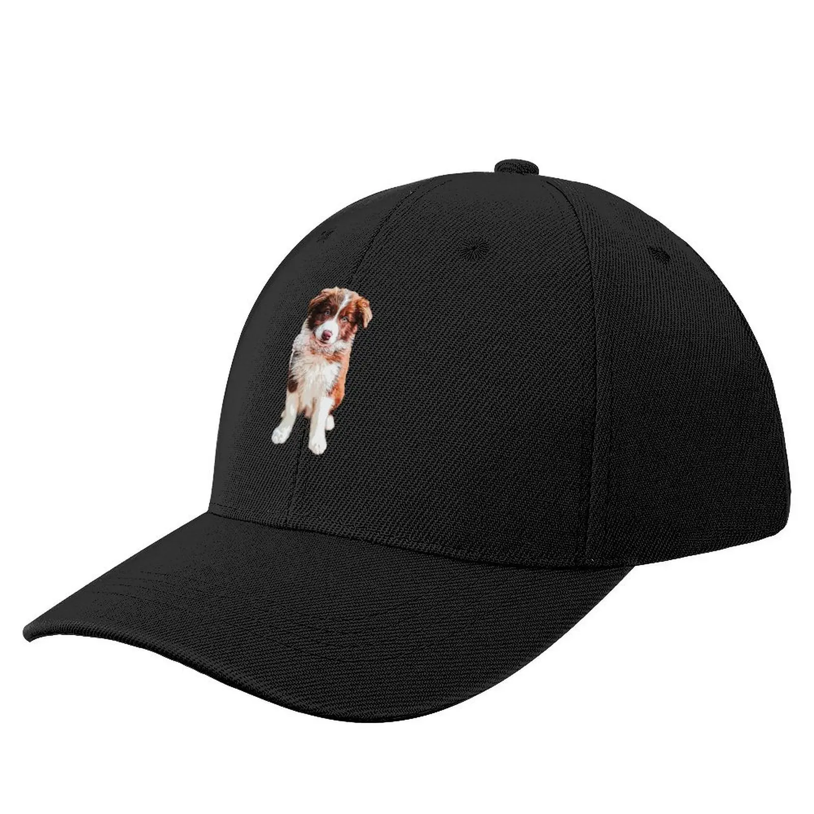 Gorra de béisbol Border Collie con bonito cachorro de Chocolate, gorra de Golf con visera térmica, gorra de lujo para hombre, gorras para mujer y hombre