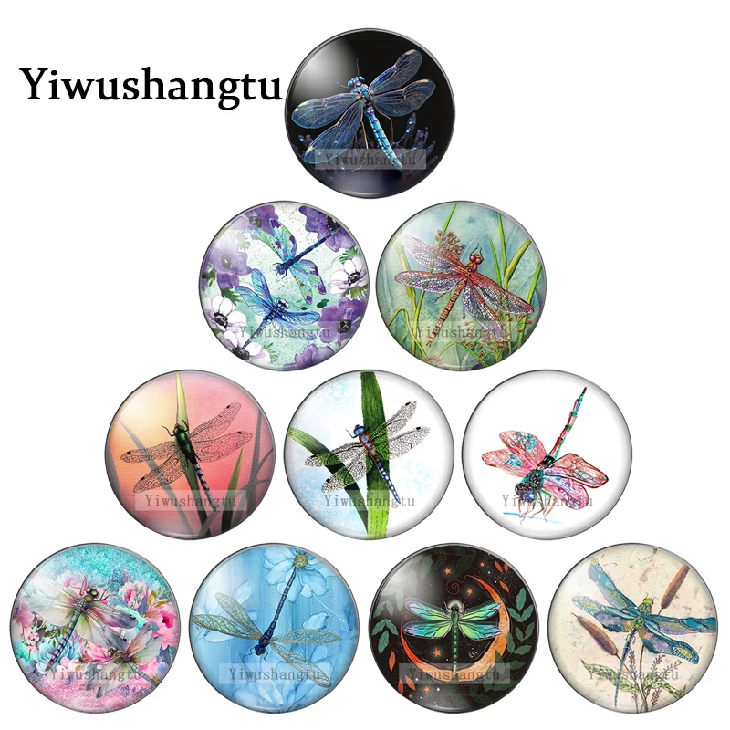 Cartoon dragonfly small grass flower art Paintings 8mm/12mm/20mm/25mm Round photo glass cabochon demo flat back Making findings