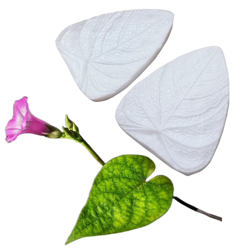 2pcs Large Morning Glory Leaves Veiner Sugar Tool Meridians Flower Silicone Cake Mold Simulation Gum Paste Mould M2975