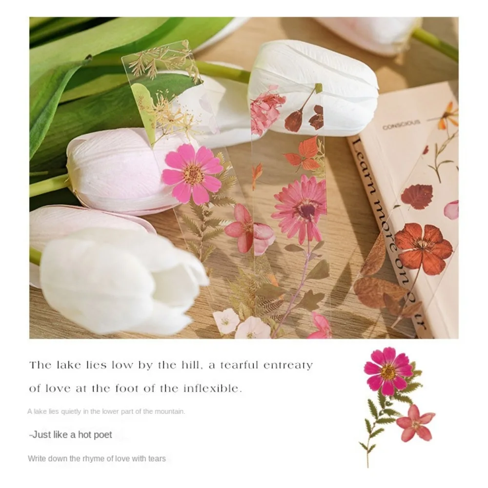 5pcs PVC Flower Travel Series Bookmark Translucent Four Seasons Reading Book Mark Stationery Natural Plant Bookmark