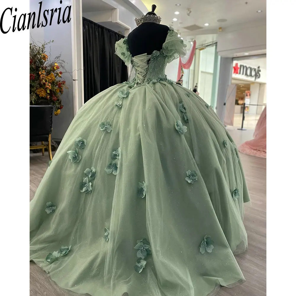 Mintgrün von der Schulter 3d Blumen Ballkleid Quince anera Kleider Kristall Perlen Spitze Korsett süß 15 Vestidos de 15 Años