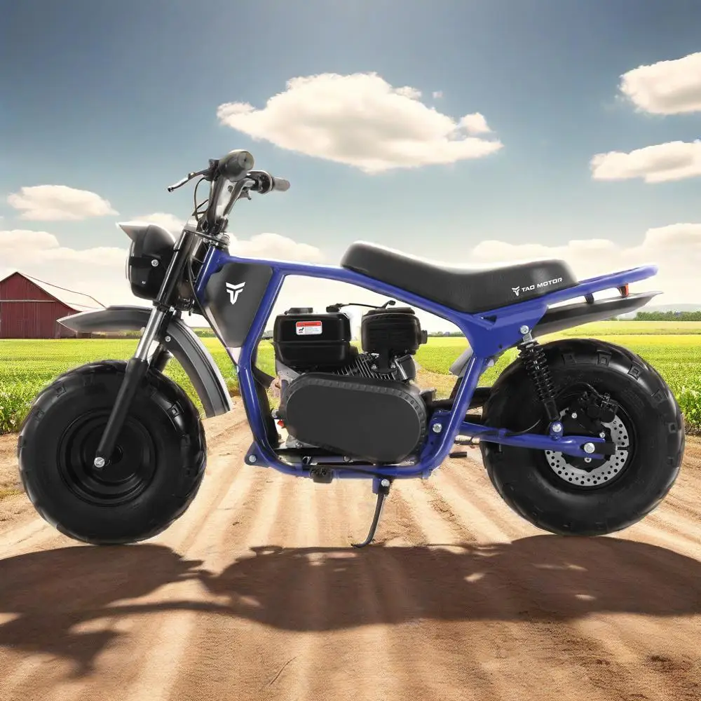 Tao Motor 2025 New Steel Off-Road Frame Fat Tire Dirt Bike 200cc Motorcycle