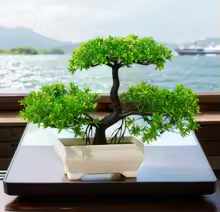 Home & Garden