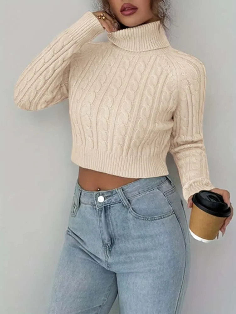 

Женский винтажный повседневный шерстяной пуловер с высоким воротником Fried Dough Twists, топ с длинными рукавами, модный, свободного кроя, универсальный