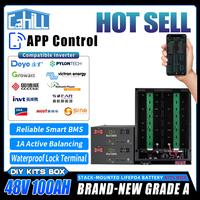 Brand New 48V 100Ah LiFePO4 Battery Case Grade A 51.2V 100Ah DIY Kit Box With 1A Active Balancing 16S 100A Smart BT Inverter BMS