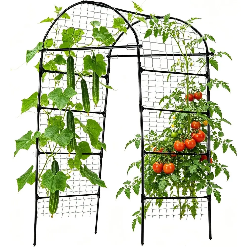 Black Metal Garden Arch Trellis for Climbing Plants, 33x33x80
