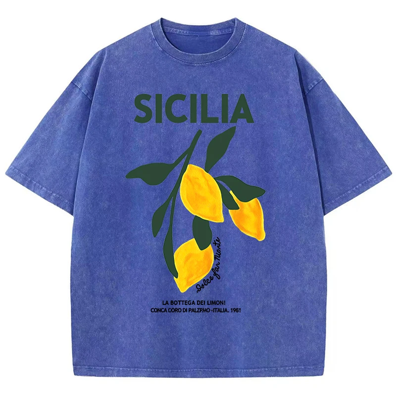 Amalfi Coast Italia Lemon Fruit Plus Size Women Washed T-Shirts Y2K Casual T Shirt Summer Soft Top Cotton Loose Short Sleeve