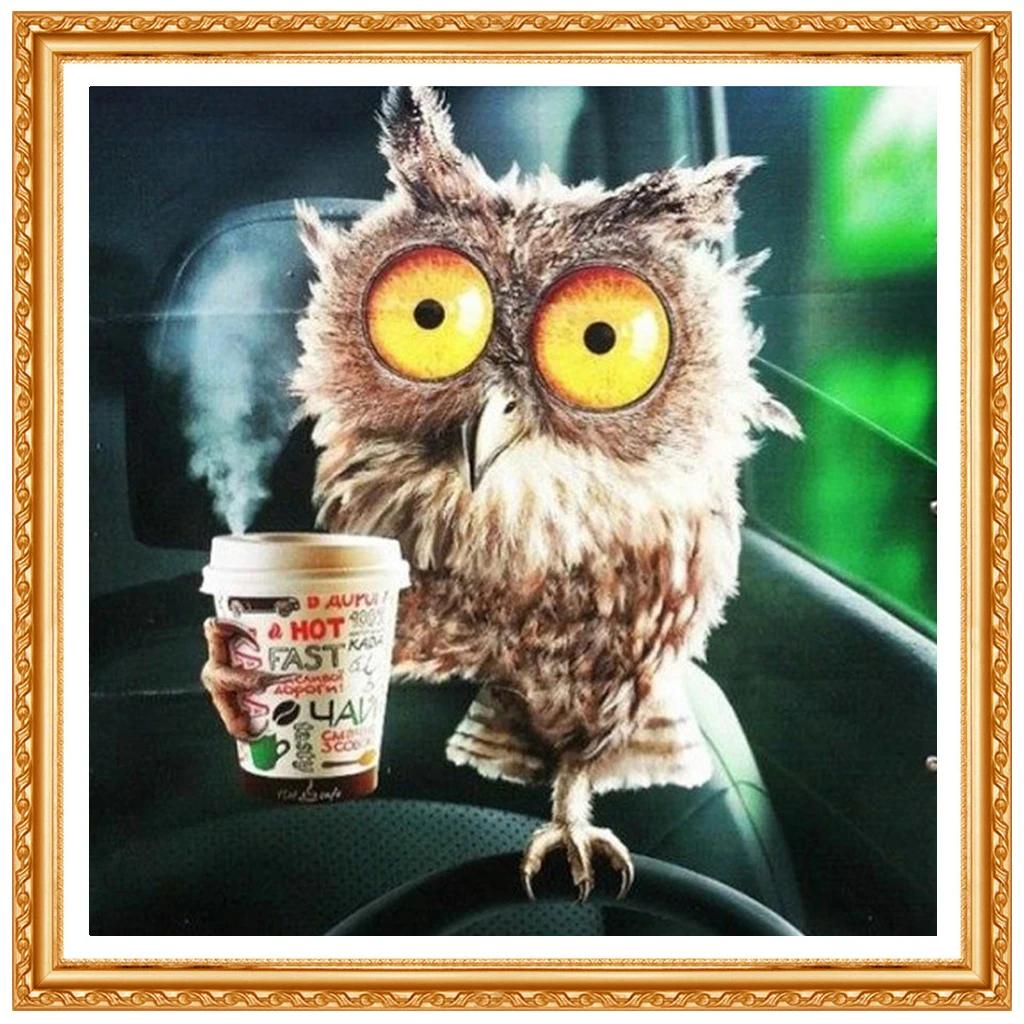 DIY 5D Full Diamonds Embroidery owl drink tea diamond Square 3D  Cross Stitch Kits Diamond  Home Decoration