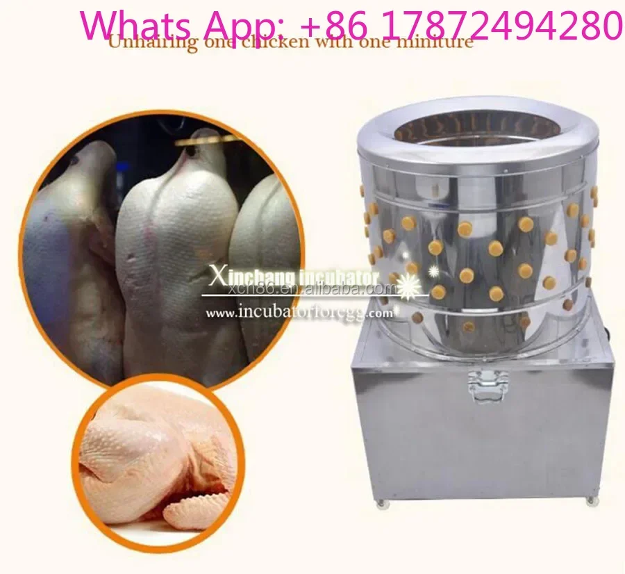 Stainless Steel Chicken Defeathering Machine, Poultry Slaughter Equipment