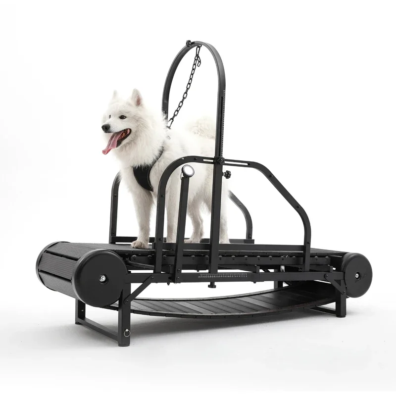 

Dog Treadmill Walking Running Machine Pet Dog Treadmill