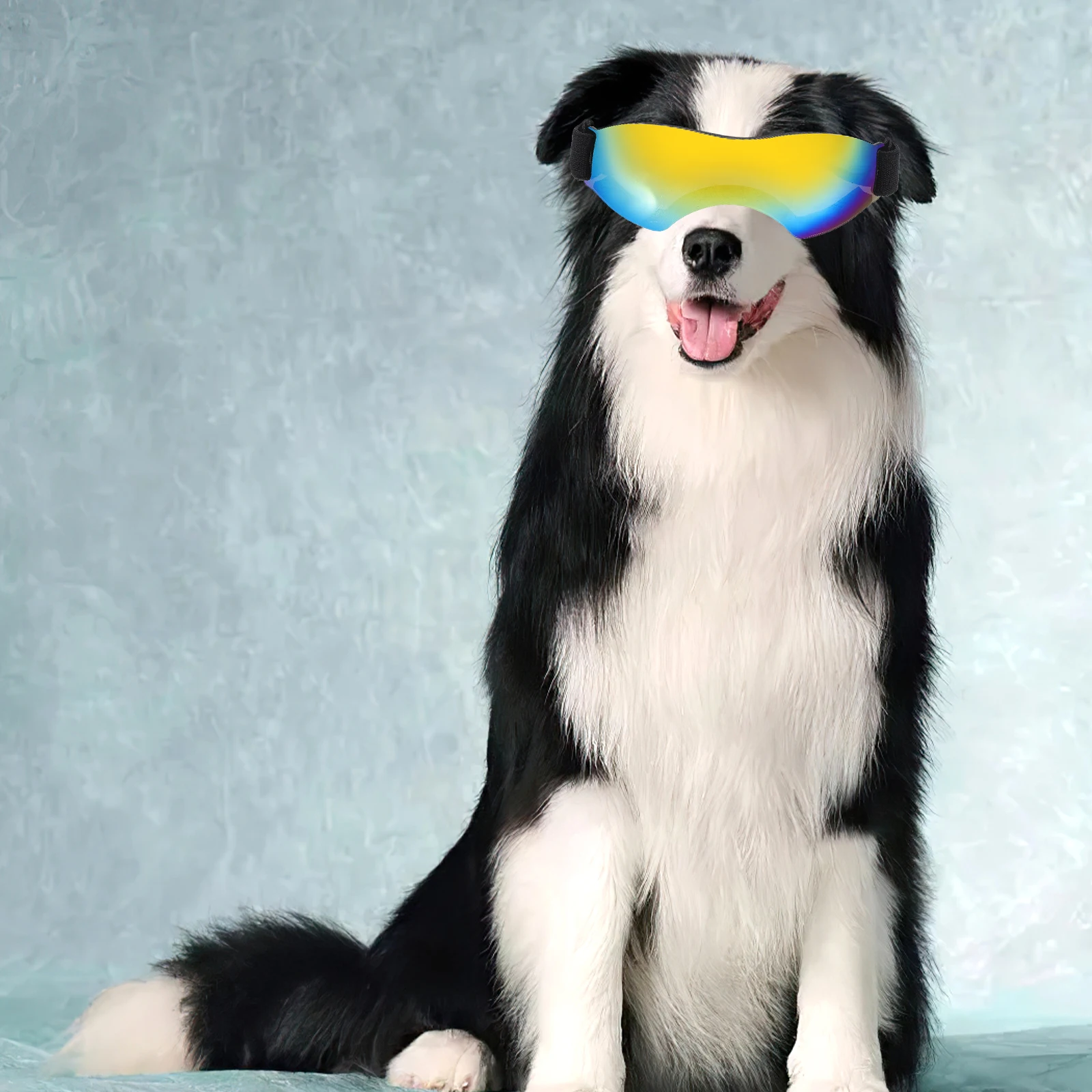 

Pet Sunglasses Dog Eye Goggles Uv Protection Accessories Doggy for Small Snow PC