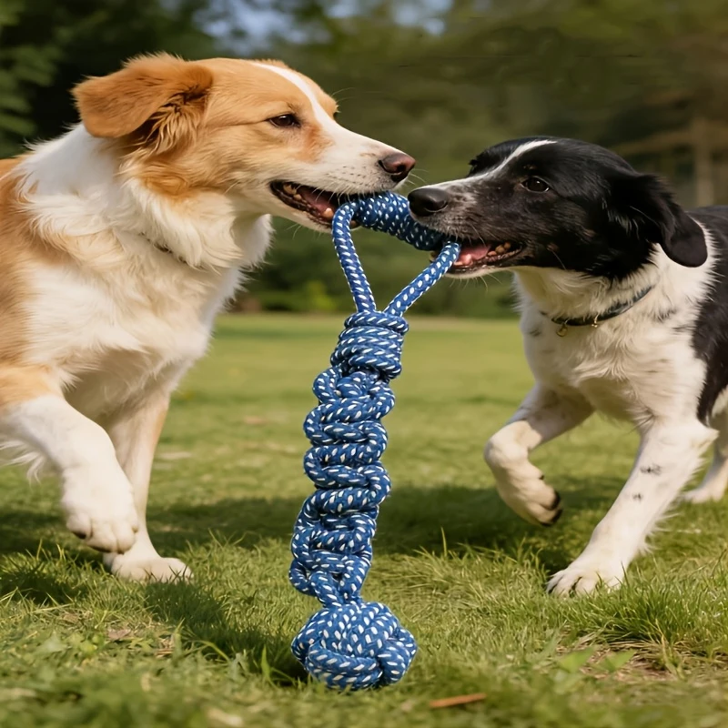 1pc Dog Toy Knot Rope Ball Cotton Rope Dumbbell Puppy Cleaning Teeth Chew Toy Durable Braided Bite Resistant Pet Supplies