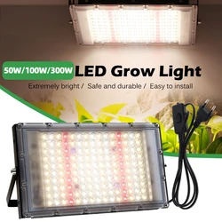 Full Spectrum 380-840nm Sunlight Growth Light LED IP65 50W 100W 300W Plant Grow Light with EU US Plug for Indoor greenhouse