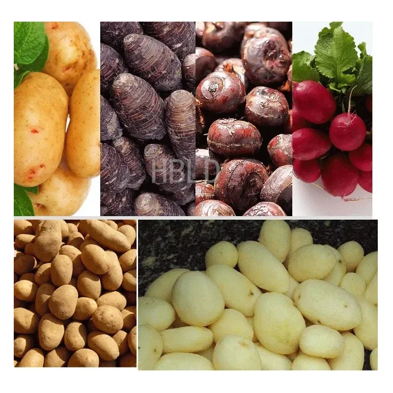HBLD Commercial Multifunctional Potato Cleaning And Peeling Machine, Electric Sweet Potato And Taro Peeling Machine