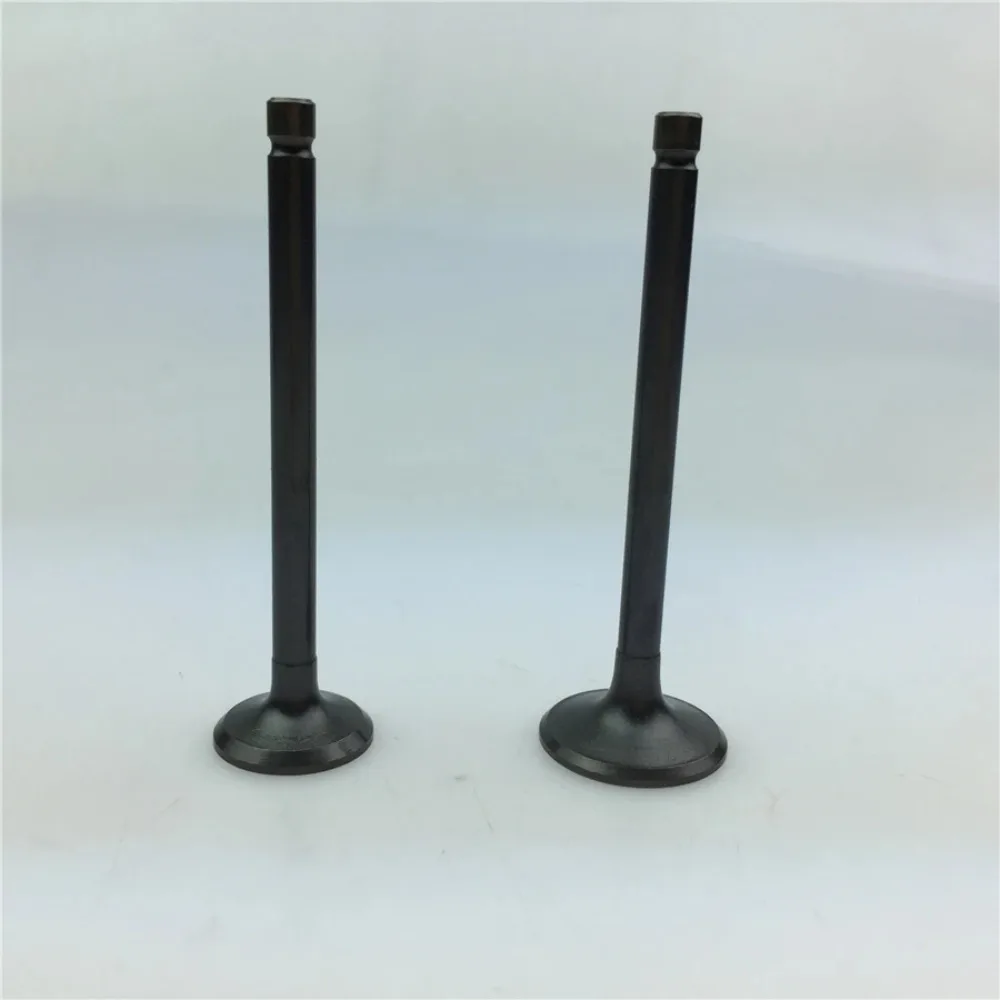 

Для Regal Raptor для мотоцикла Qianjiang 250/QJ250-3A // Earth Eagle King в выпускной клапан универсальные аксессуары