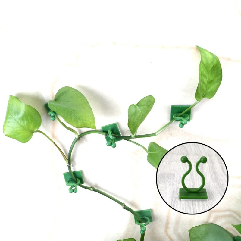 Plant Climbing Wall Clips Vine Buckle Hook Fastener Tied Fixture Buckle Hook Plant Stent Invisible Vine Climbing Fixed Bracket