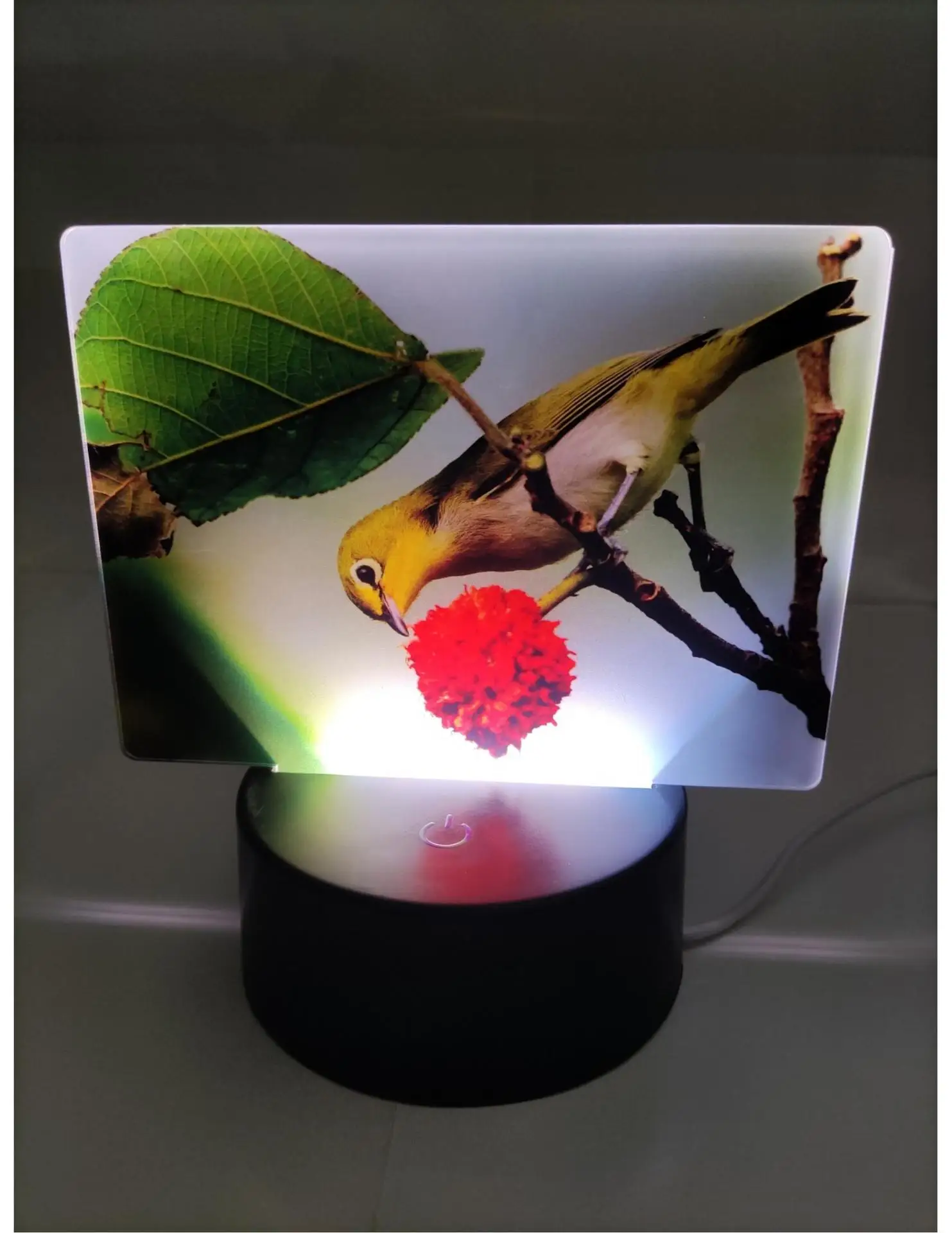 La fabbrica fornisce direttamente gatto creativo carino luce notturna lampada da scrivania camera da letto rete luce rossa modello di collegamento Usb luce notturna all'ingrosso