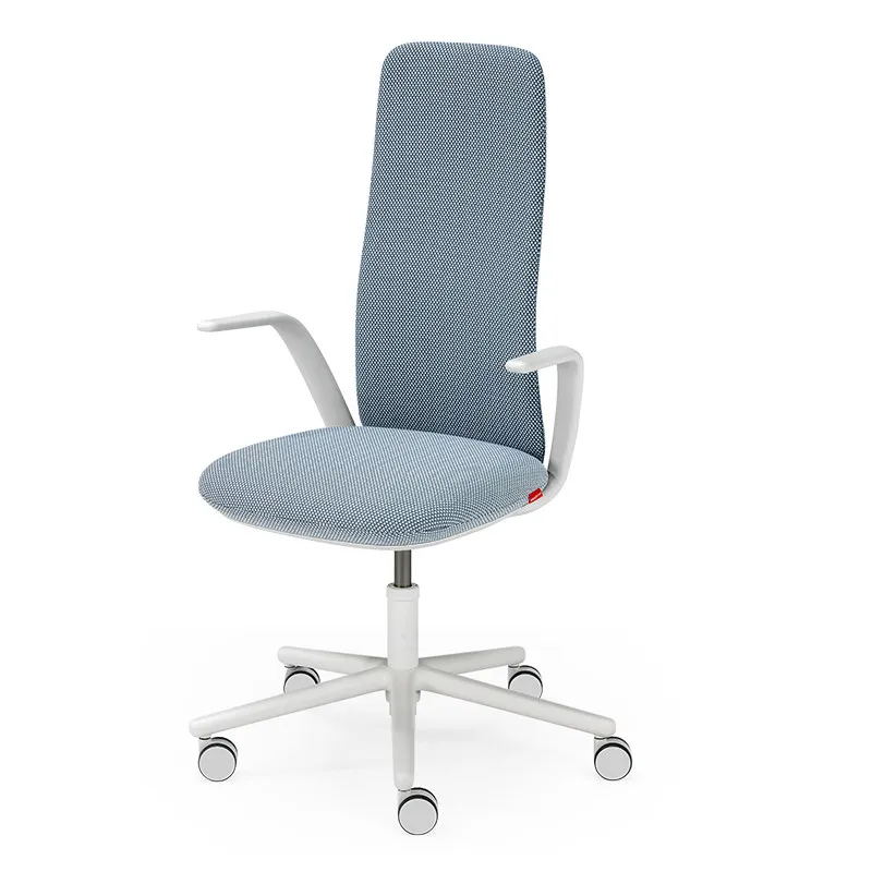 

Ergonomic Chair Home Office Study Student Chair Lifting Nordic Wind Chair