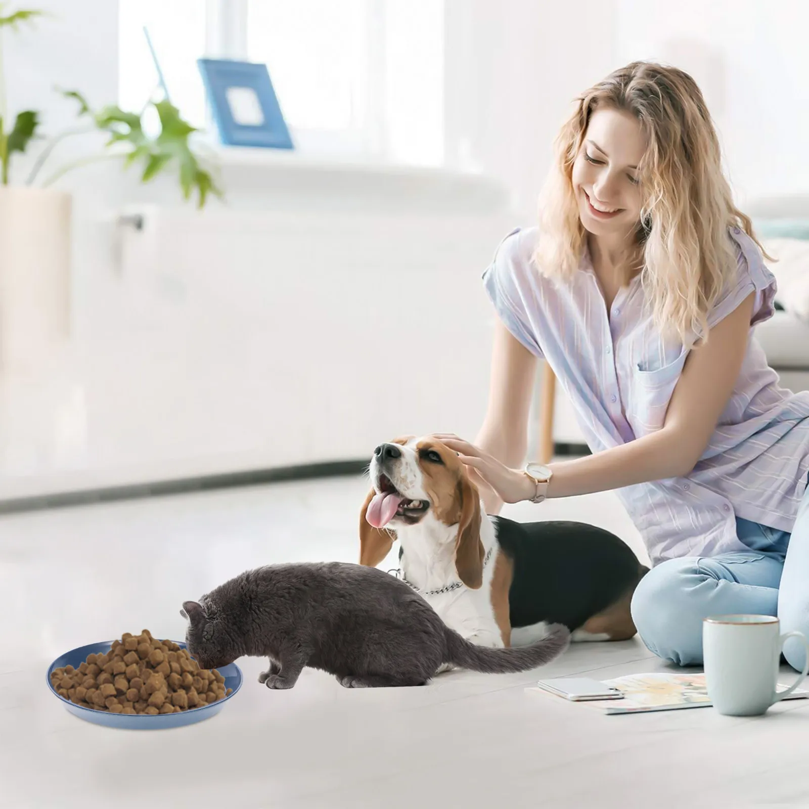 8Pcs Shallow Cat Food Plate Round Pet Feeding Dish for Kittens Short-Legged Cats Wet Dry Food Water Safe Whisker-Friendly Easy
