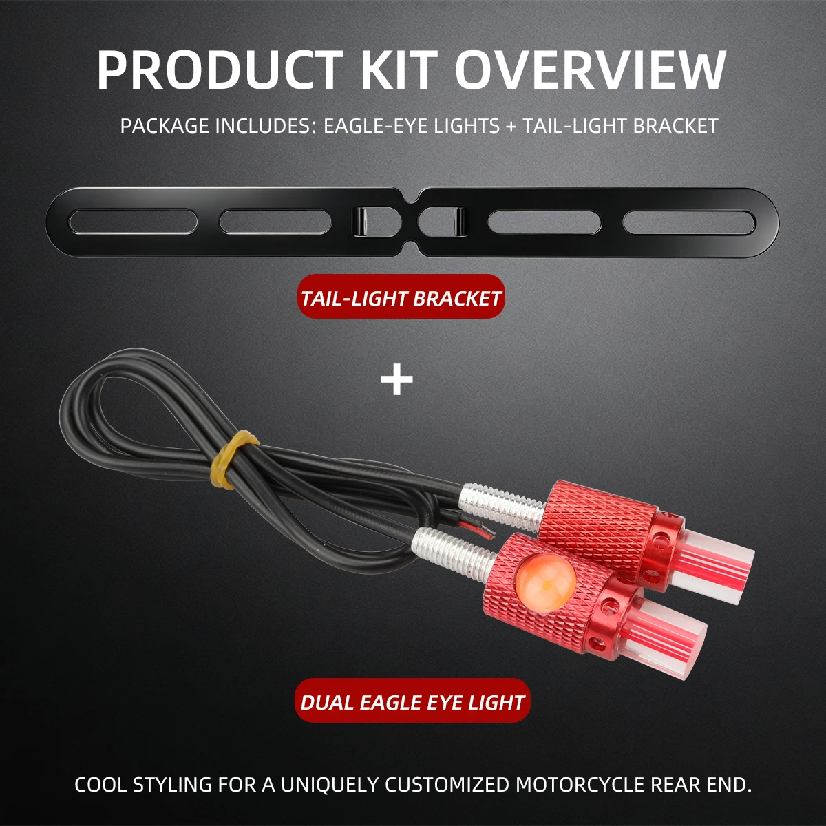 1 Set Motorcycle Eagle Eye Led With Rear Light Bracket DRL Turn Signal License Plate Tail Reverse Clearance Lamp 12V