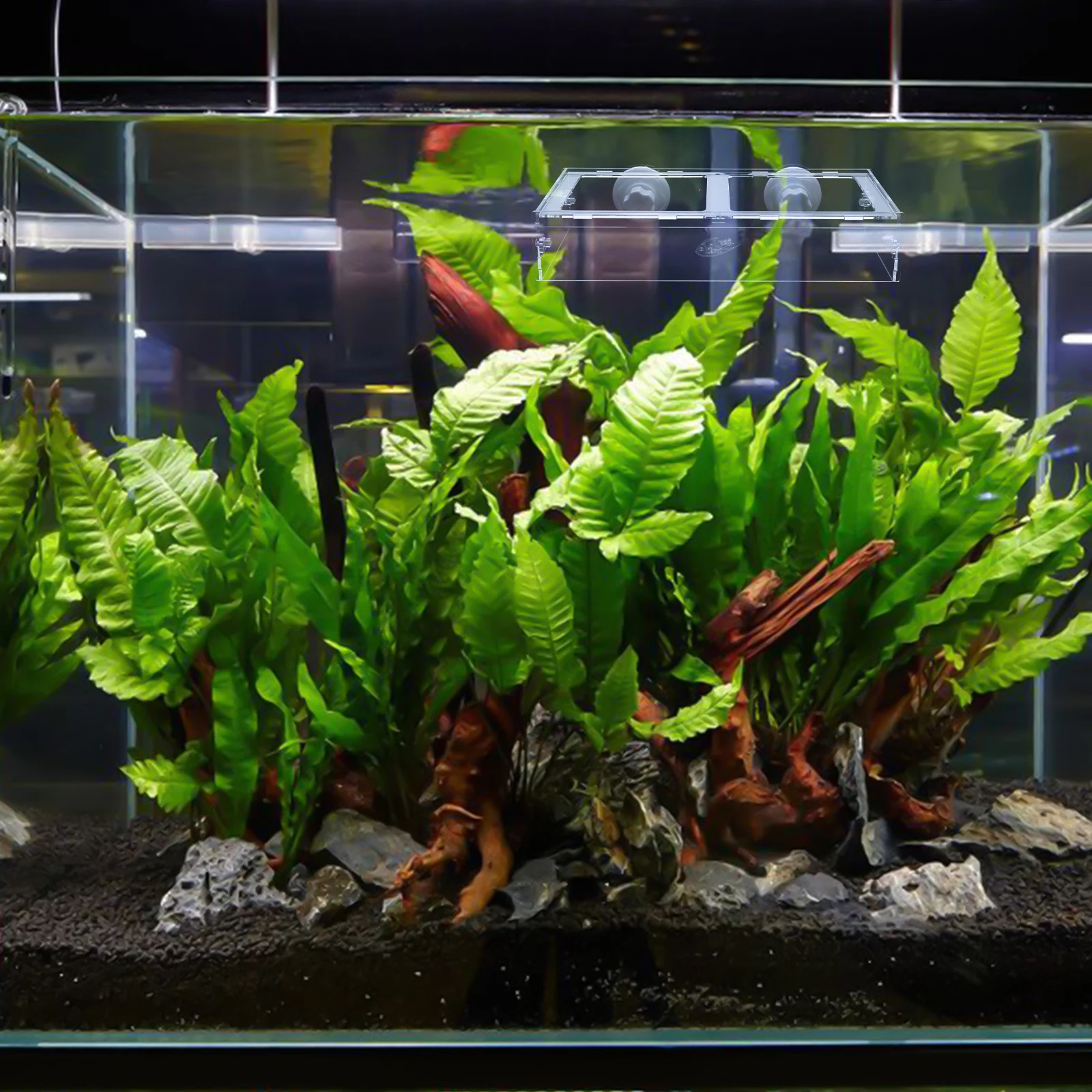 

Fish Feeding Ring Acrylic Transparent Suction Cup Aquarium Tool Tray Feeder Supply Tank Management Freshwater Pet Supplies