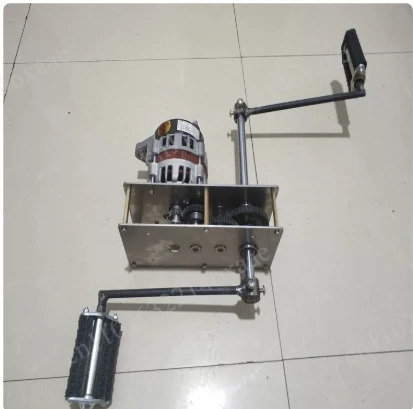 DC Pedal Generator Battery Charging AC Permanent Magnet Brushless High-power 12V 24V 2000W 220V 800W