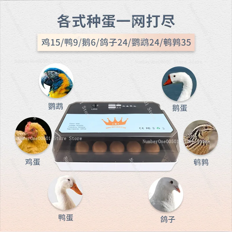 15 Pieces Incubator, Fully Automatic Chicken Incubator, Household Mini Chicken, Duck