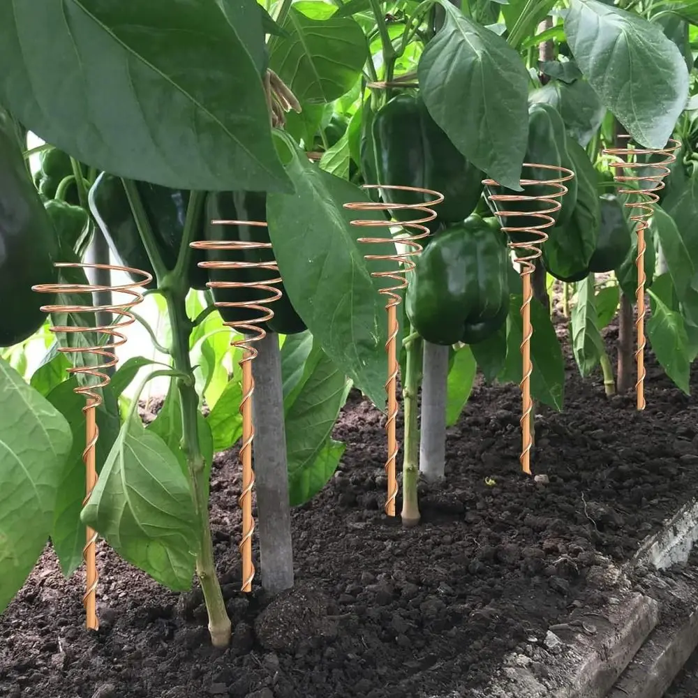 Copper Electroculture Plant Stakes Wire Coil Wood Rod Gardening Copper Coil Antennas Bonsai Fixing Rod Flower