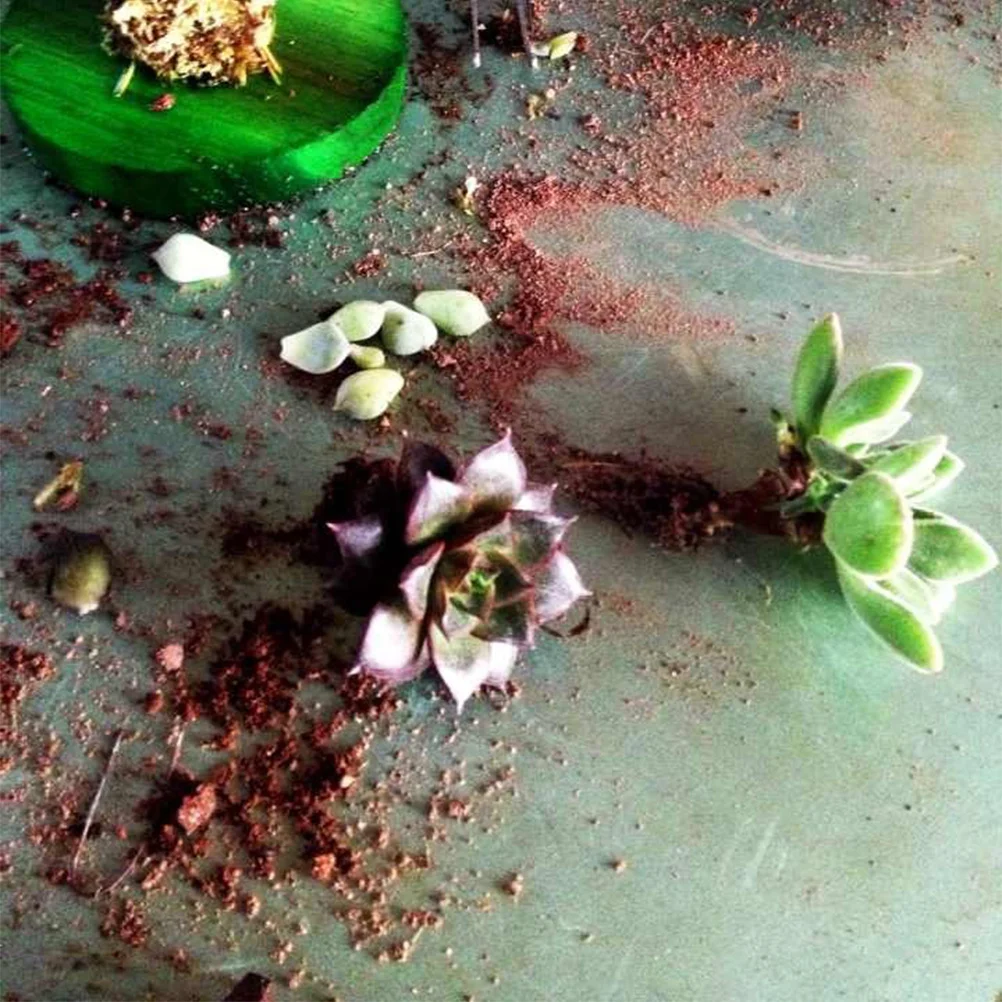 

1Pcs Christmas Tree Decoration DIY Handmade Flower Arrangement Succulent Planting Vase Creative Home Party Decoration