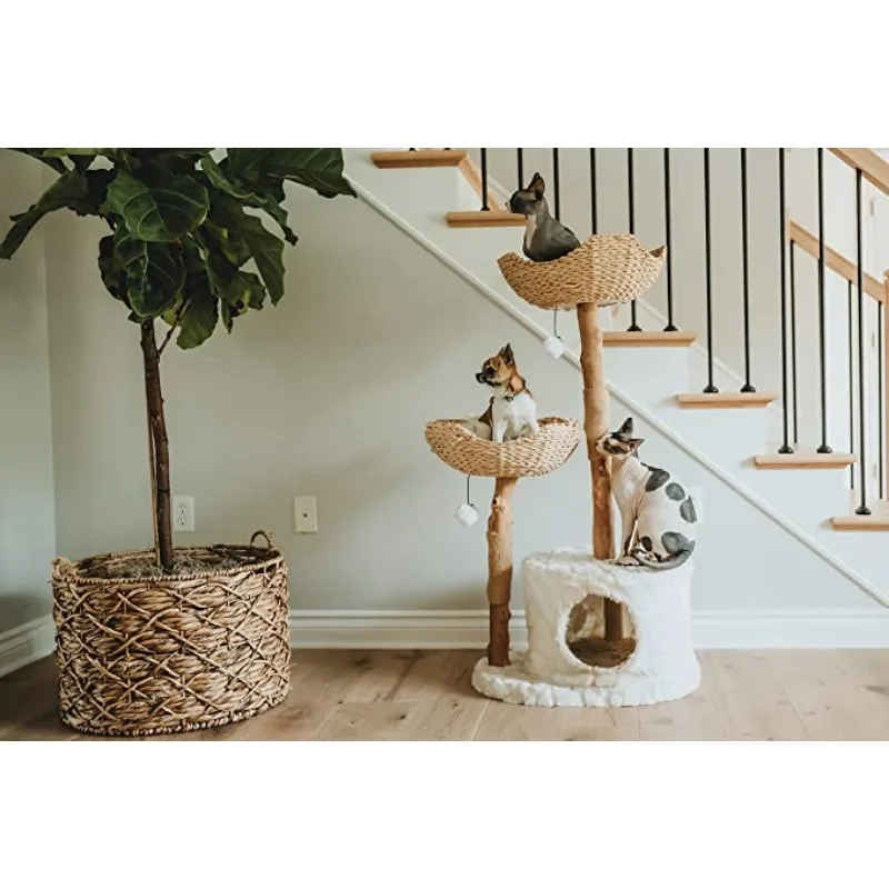 

Tall Tree Tower for Large Cats, Real Branch Wood, Luxury Cat Condo, Scratching Tree, Activity Center, Condo