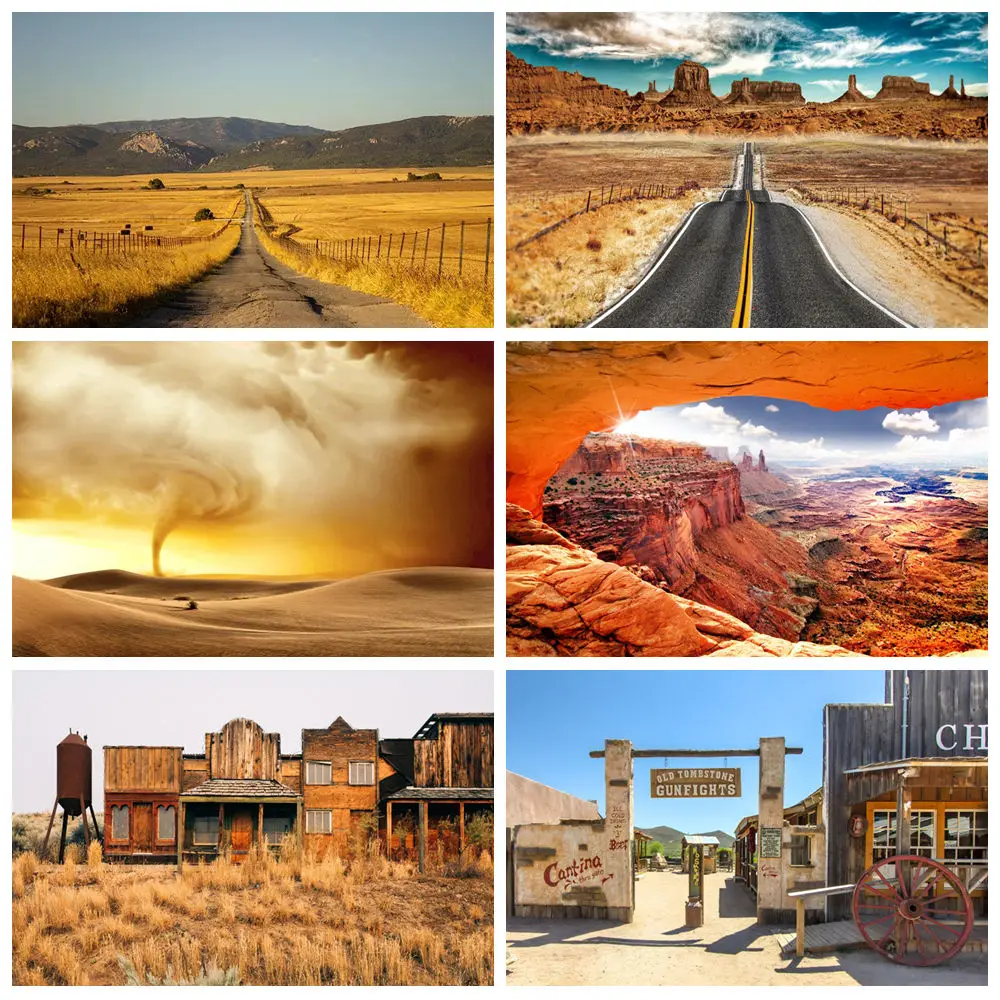 

Desert landscape Rocky Mountain Photography Background Reptile Habitat Cactus Sun Oasis Nature Tapestry Background Poster