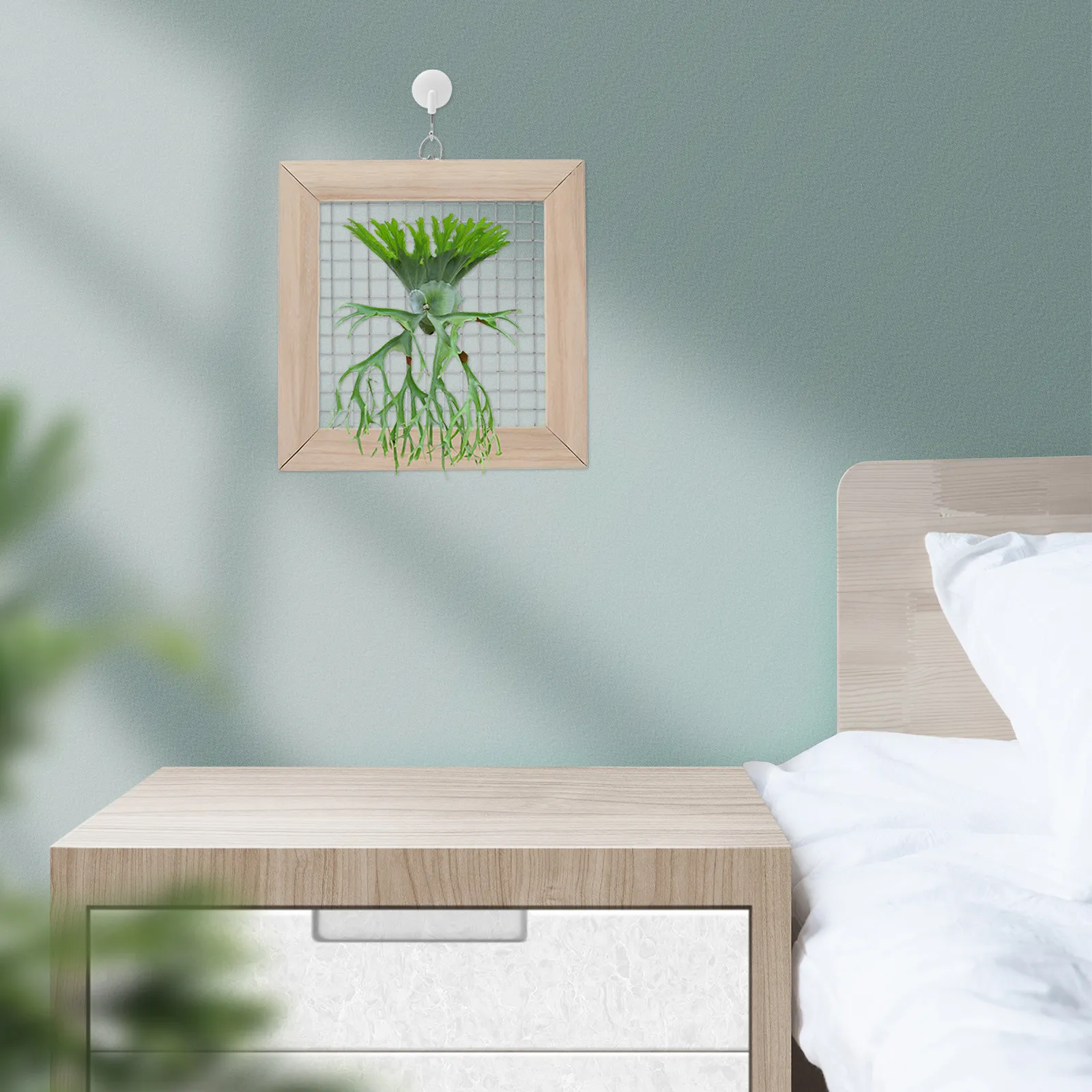 Wooden Staghorn Fern Mounting Board Solid Plant Frame Stainless Steel Mesh Wall Mounted Plant Holder Indoor Hanging