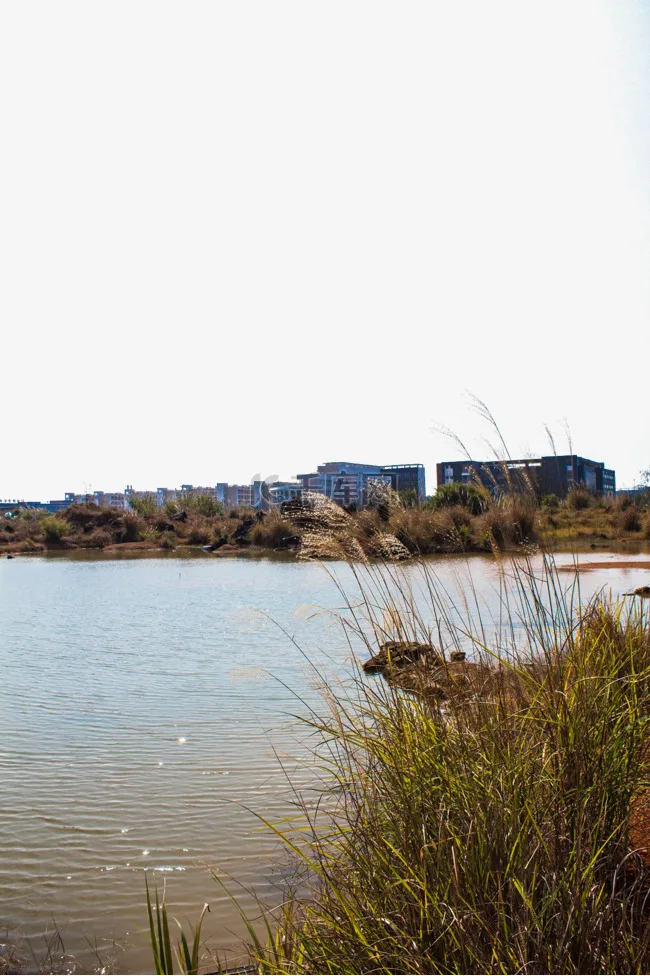 

"Durable Slipper Clutch Assembly 5352A/R - Complete Upgrade Kit for 4WD Summit E-Revo Rustler E-Maxx