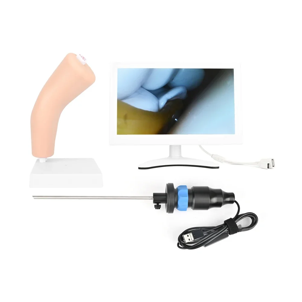 High Simulation Arthroscopy Simulator Elbow Joint Model for Arthroscopic Surgery Training and Inspection