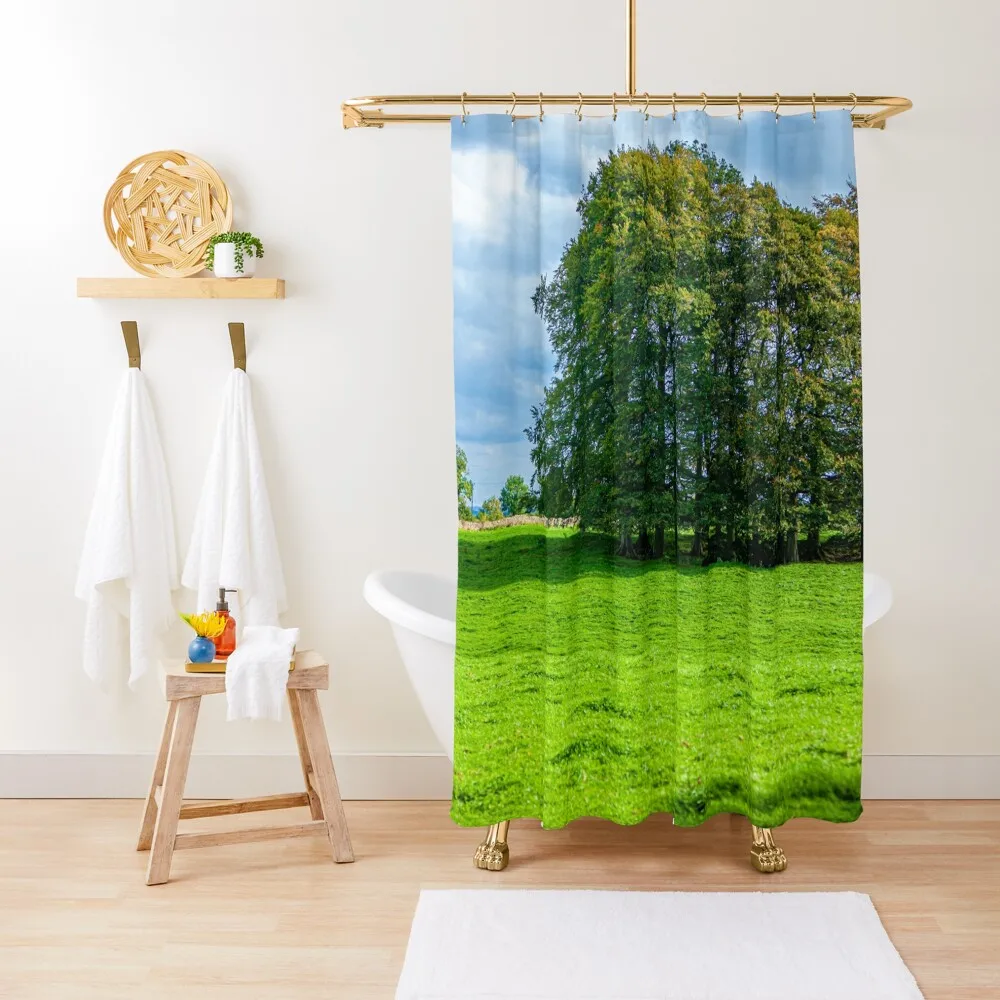 

Just Trees in the countryside Shower Curtain Window Shower Set Luxury Bathroom Shower Cute Curtain