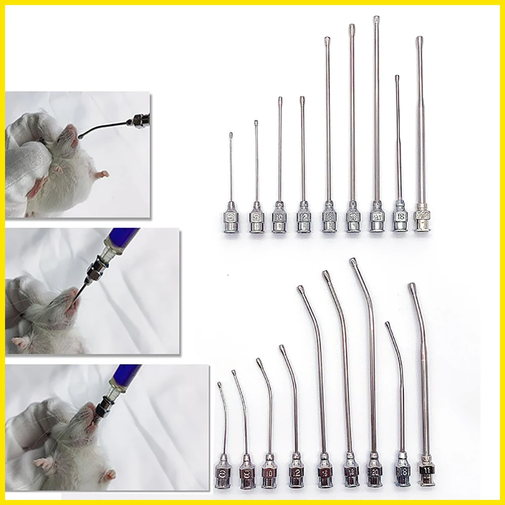 1PCS Rat Mice Intragastric Needle Stainless Steel Straight Curved Tip Feeding Medicine Dripping Parrot Pet Puppy Animal Milking