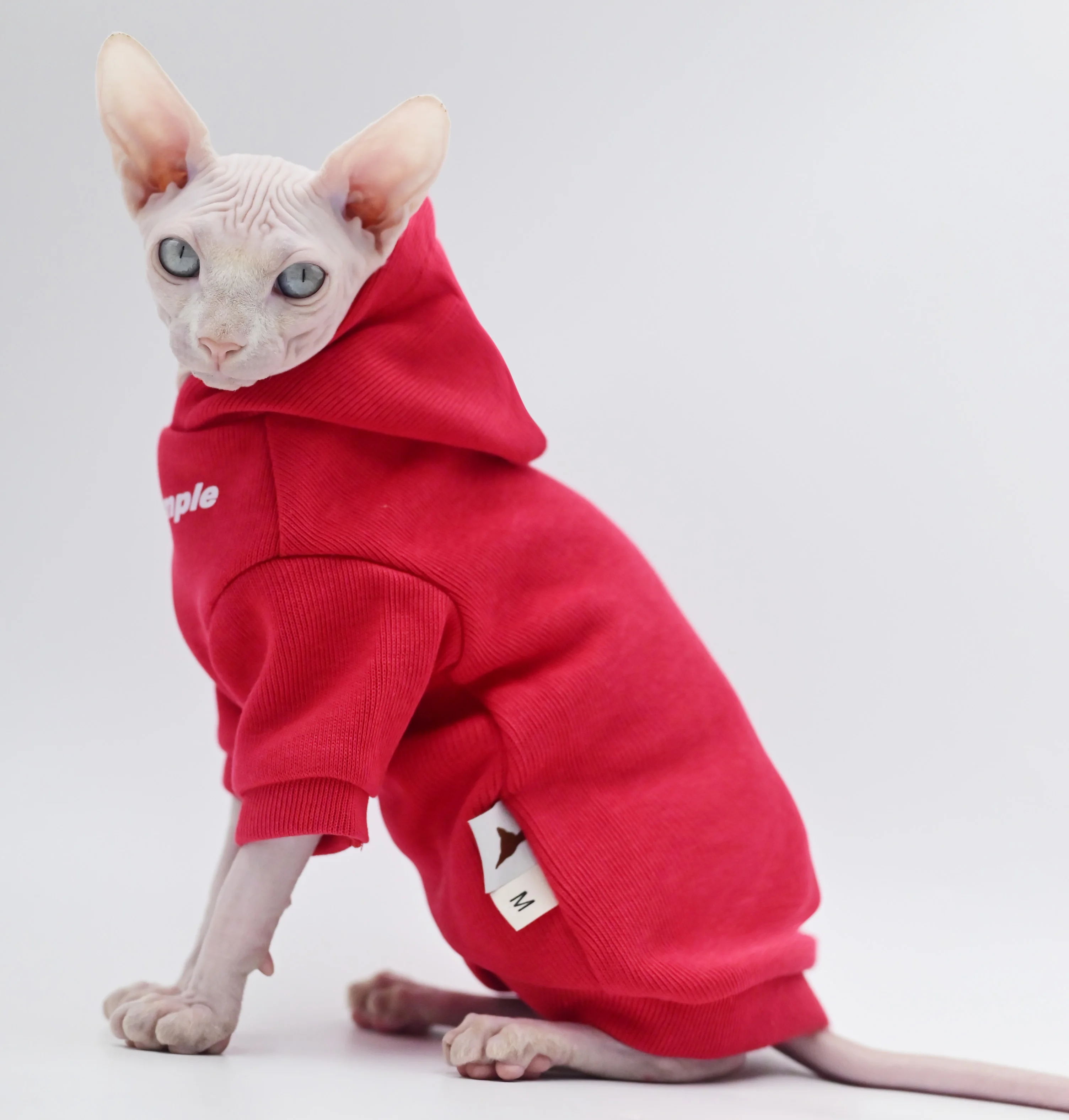 Hairless Ball Cat Apparel, Sphynx Cat Apparel, Kitty Clothes, Autumn and Winter Outfits