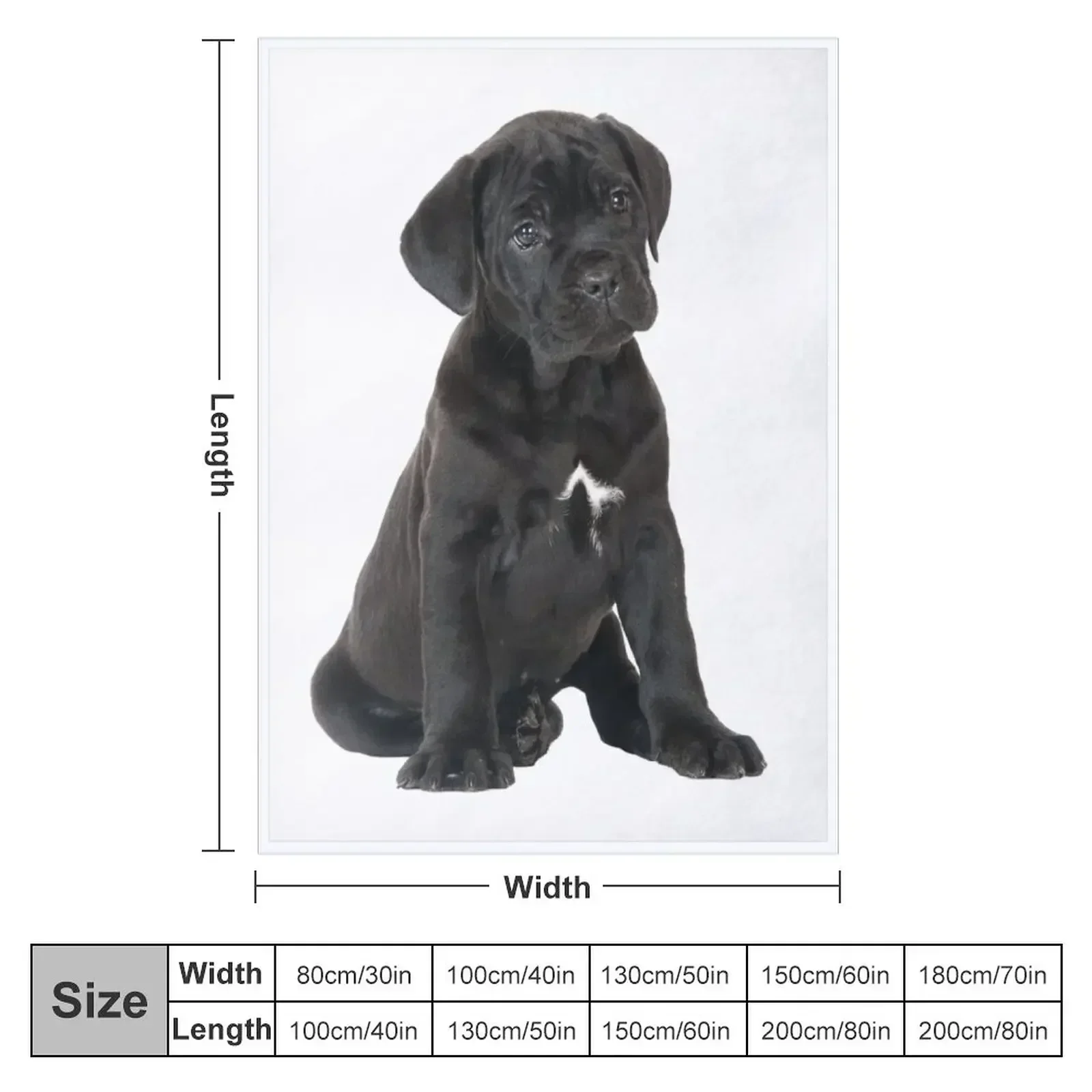 Cane Corso Puppy Throw Blanket Luxury Throw Thin Tourist Single Softest Soft Beds Blankets