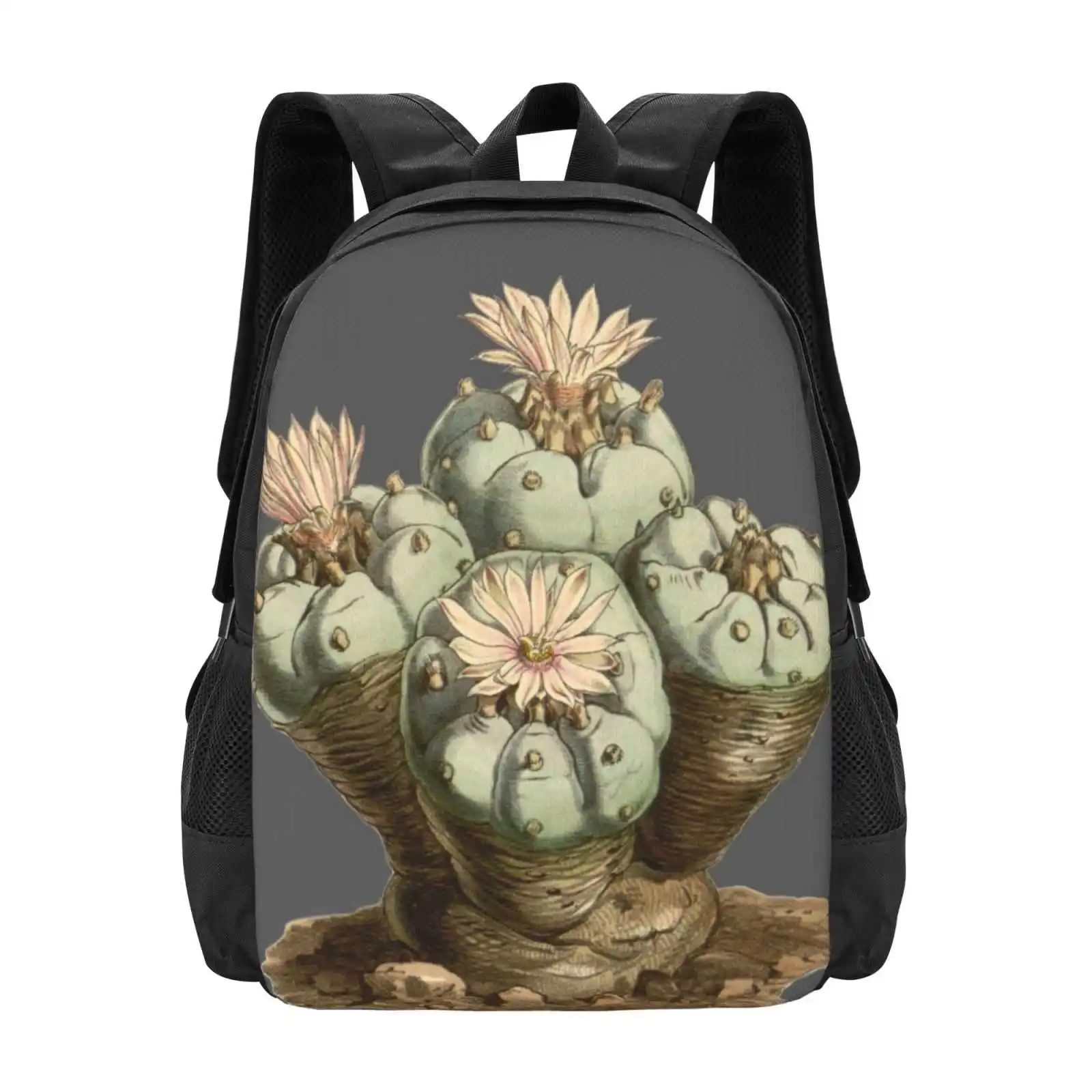 Lophophora Williamsii/Peyote-mochila con ilustración botánica antigua para hombres, mujeres, niñas, adolescentes, Cactus, Peyote, 1847