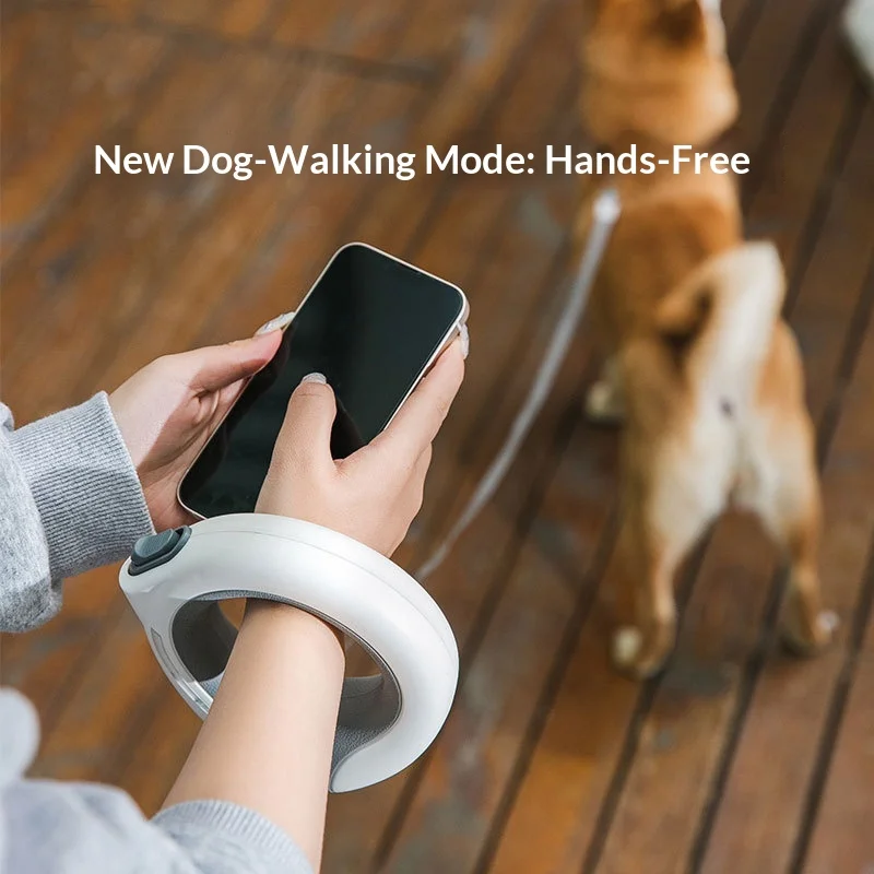Thumbnail 3 - #6 Latest Retractable Puppy Leads Offers