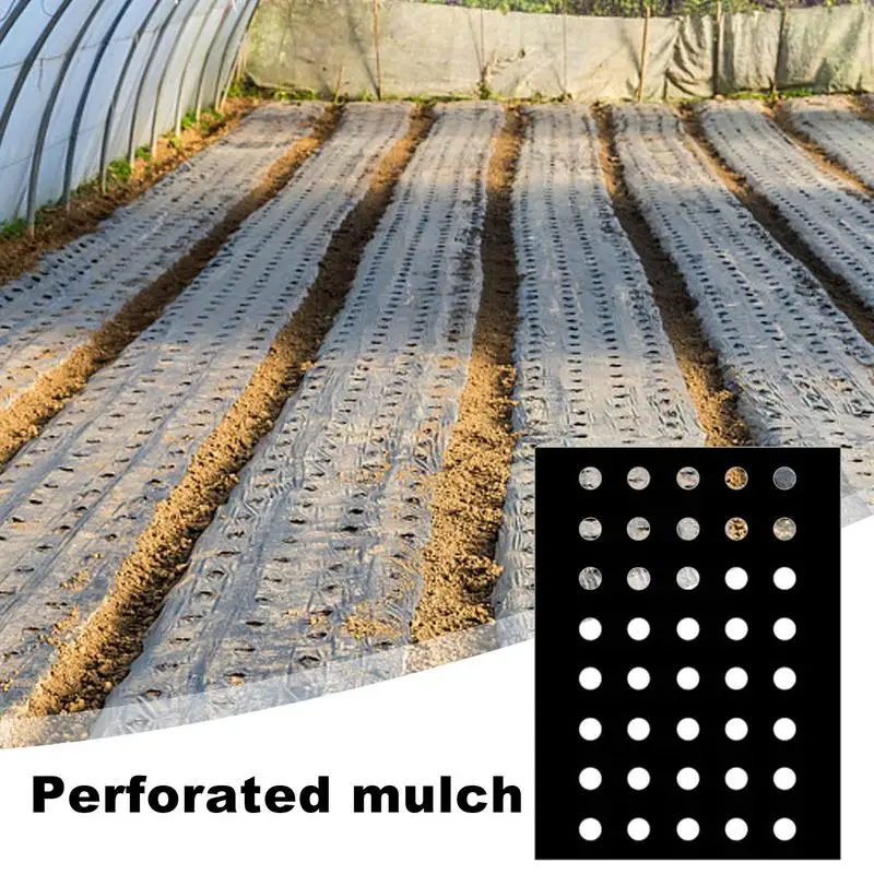 Black Mulch Perforated Garden Vegetable Grow Films Weeds Control Agriculture Mulch Pre Punched Hole Plastic Protection Cover